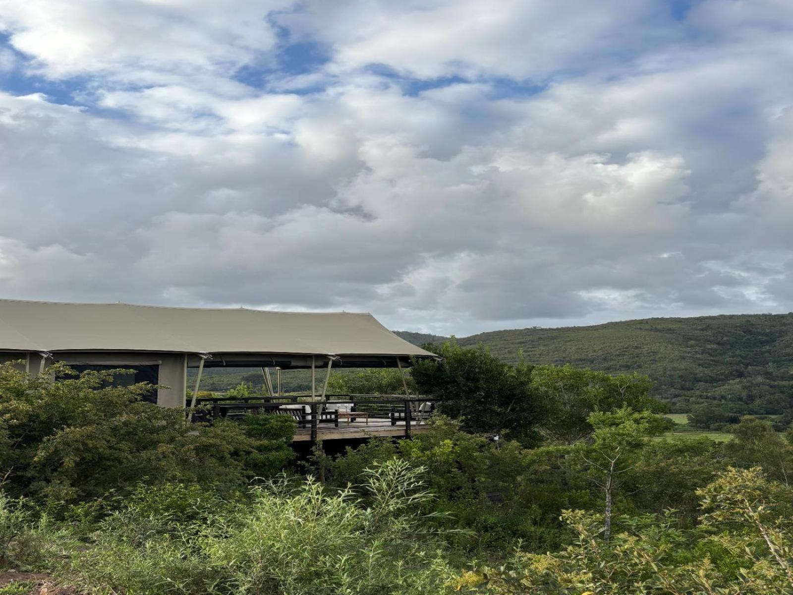 Howberry Hills Plettenberg Bay Pokój zdjęcie